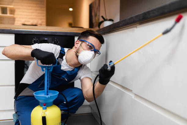 Best Affordable Pest Control Services  in Bethel Island, CA