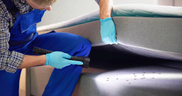 Best Best Pest Control Companies  in Bethel Island, CA